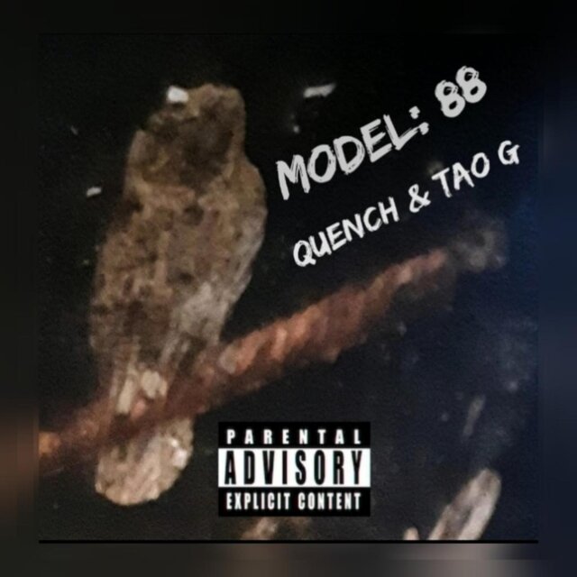 Model 88 (feat. TAO G)