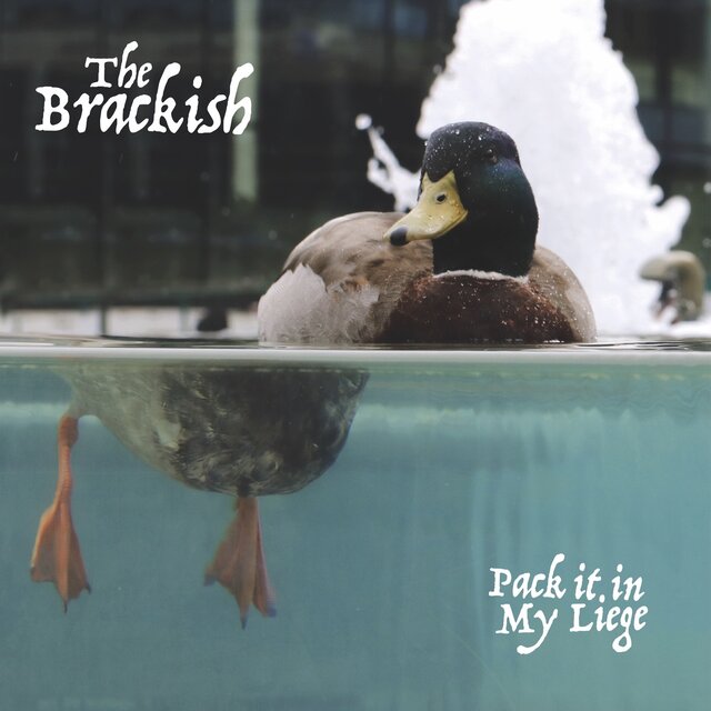 Cover art for album Pack it in My Liege by The Brackish