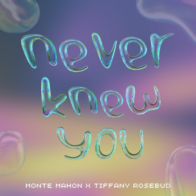 Never Knew You