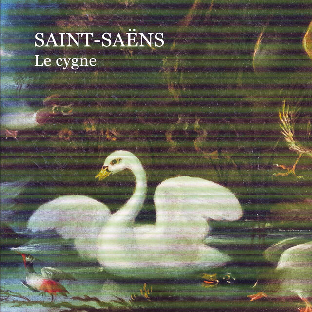 Sanit- Saëns Le cygne
