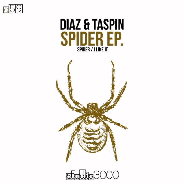 Spider