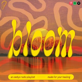 Cover art for album bloom by User