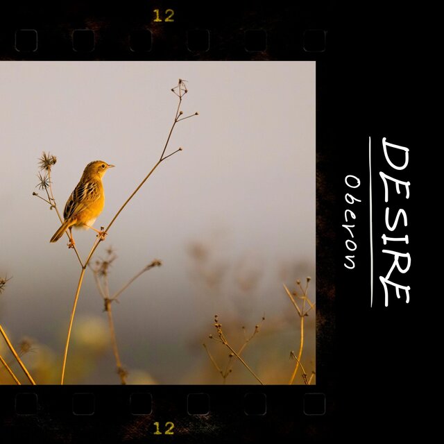 Desire