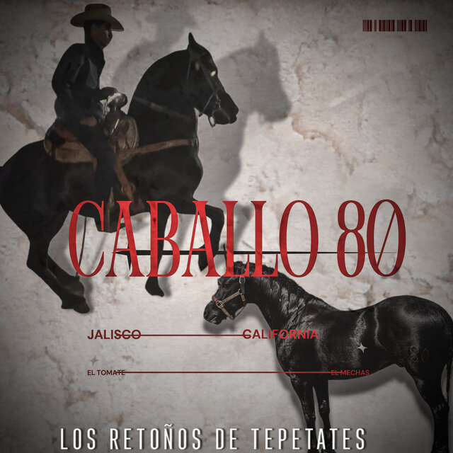 Caballo 80
