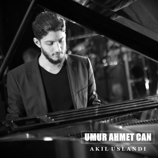Akıl Uslandı