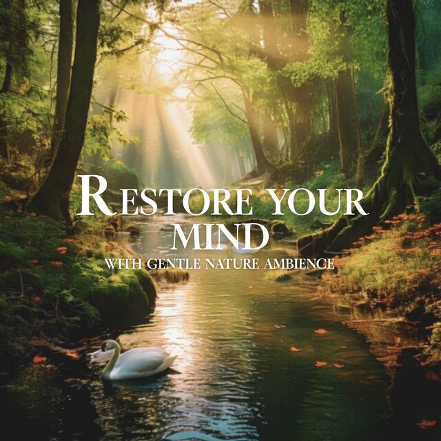 Restore Your Mind with Gentle Nature Ambience