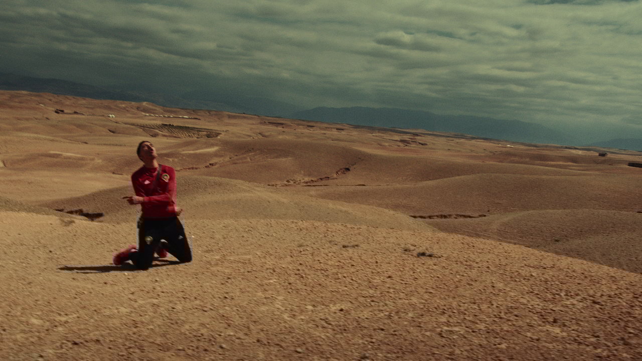 Poveri Stronzi (Official Video)