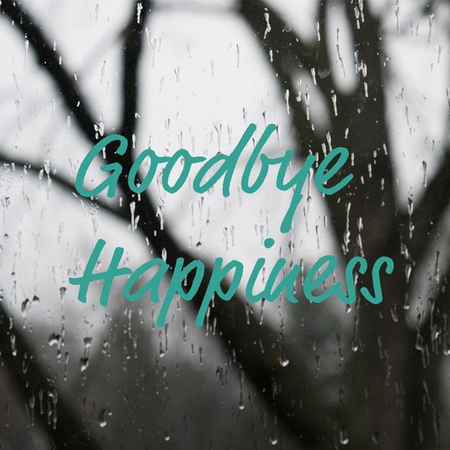 Goodbye Happiness (feat. Timothy Pratt)