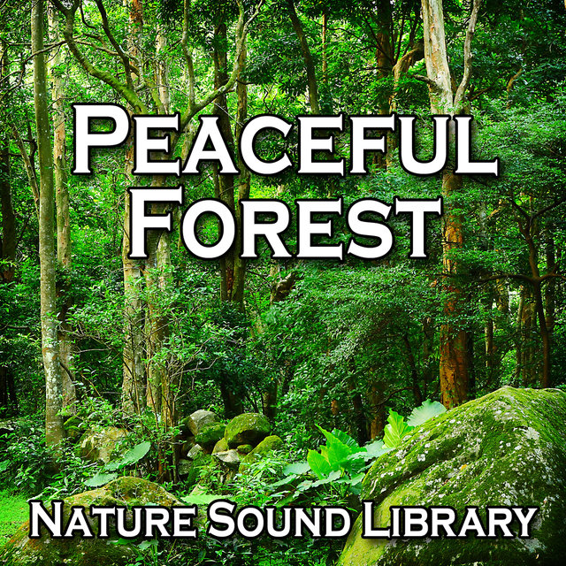 Peaceful Forest (Nature Sounds for Deep Sleep, Relaxation, Meditation
