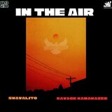 In The Air (feat. Savage Kamakazee)