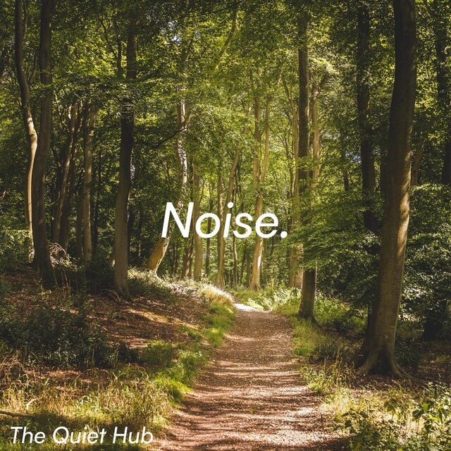 Forest Nature Sounds (continuous)