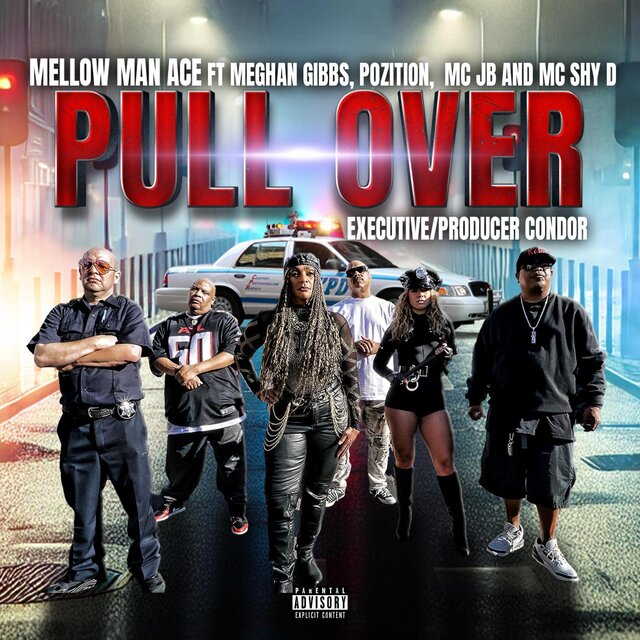 Pull Over (feat. Meghan Gibbs, Pozition, MC JB & MC Shy D)