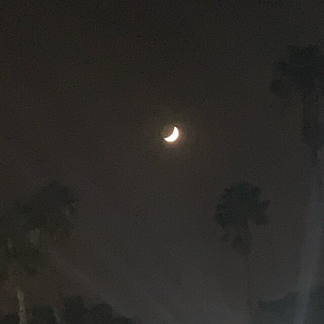 Lost In The Dark