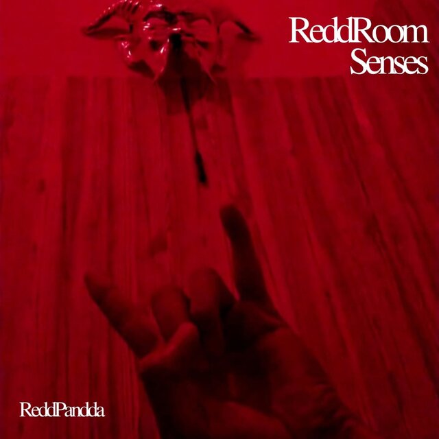 Reddroom Senses