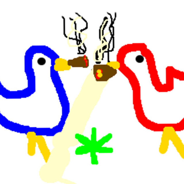 2 Birds