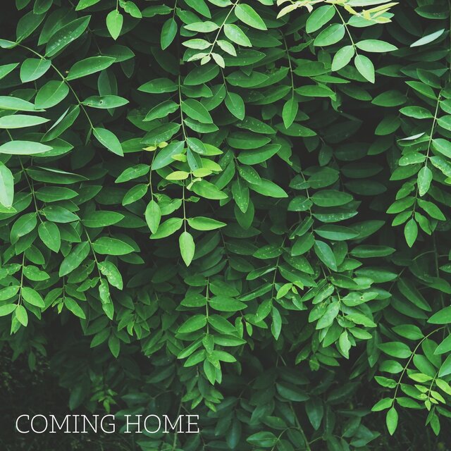 Coming home