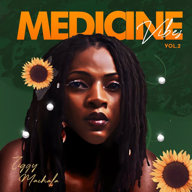 Medicine Vibes, Vol. 2