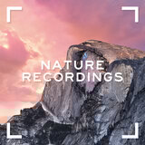 Night Time (Original Mix)