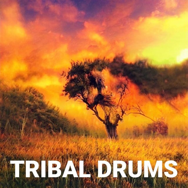 Tribal Drums