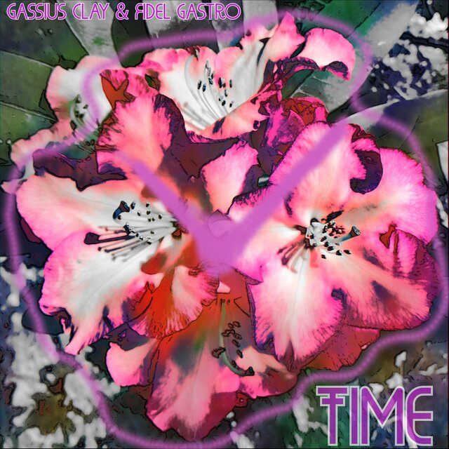 TIME