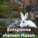 Rabbit Therapy