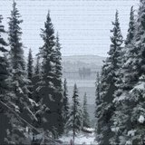 How Many Blankets Are In The World?