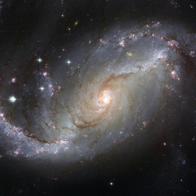 Stars