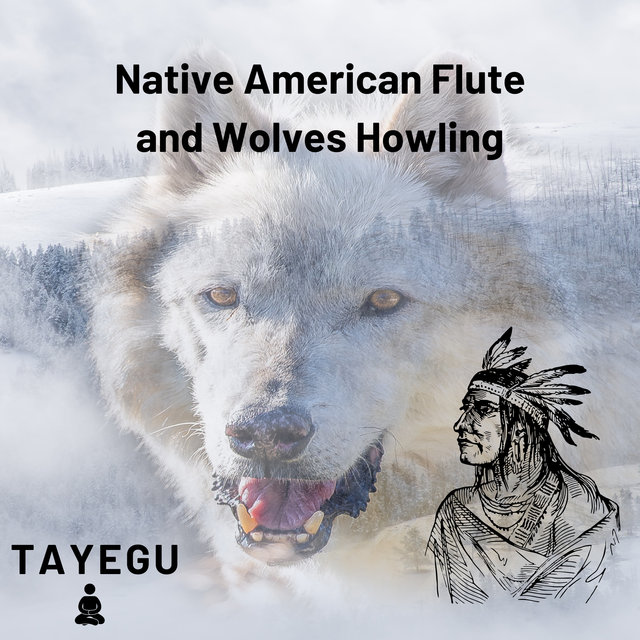 Native American Flute and Wolves Howling 1 Hour Relaxing Ambient Yoga Meditation Sound For Sleep or Study