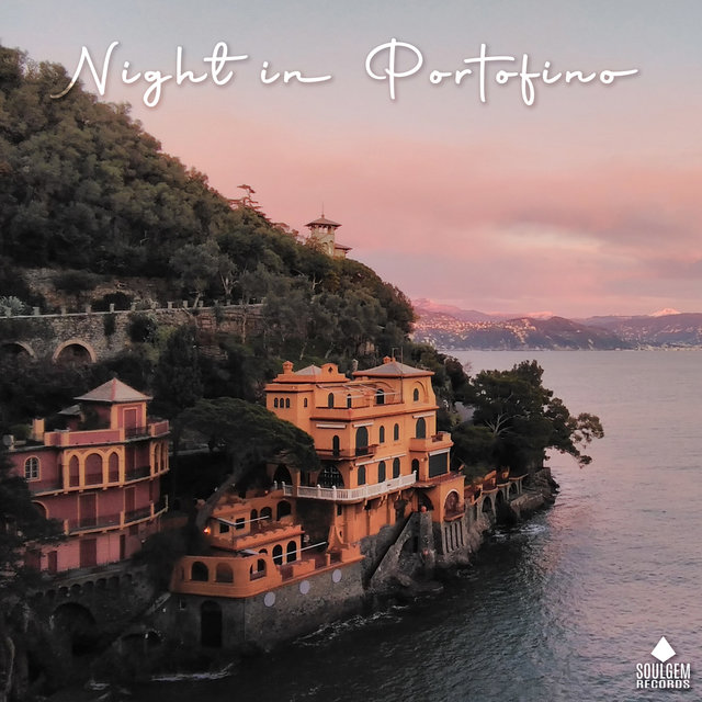 Night in Portofino