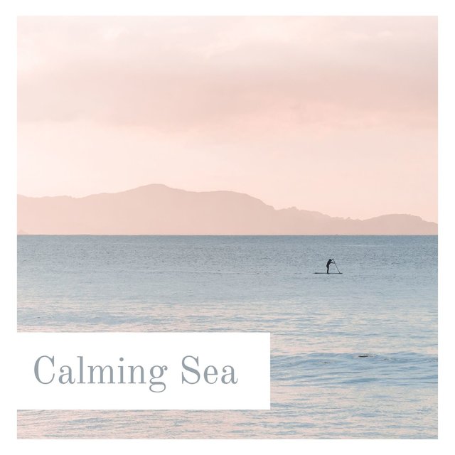 Calming Sea: Relaxing Ocean Waves, Seagulls, Paradisiac Tropical Beach with Sun, Blue Sky and Nature Sounds