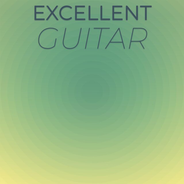 Excellent Guitar