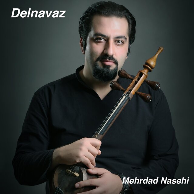 Delnavaz