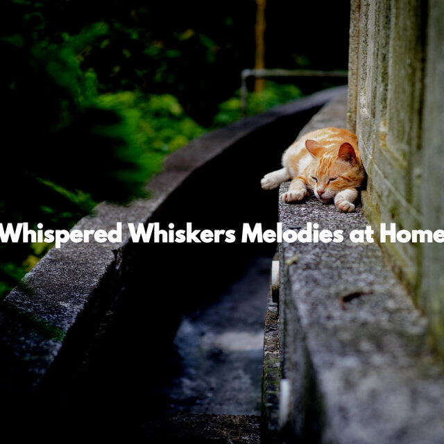 Whispered Whiskers Melodies at Home