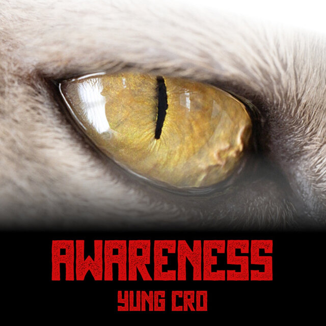 Awareness