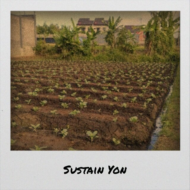 Sustain Yon