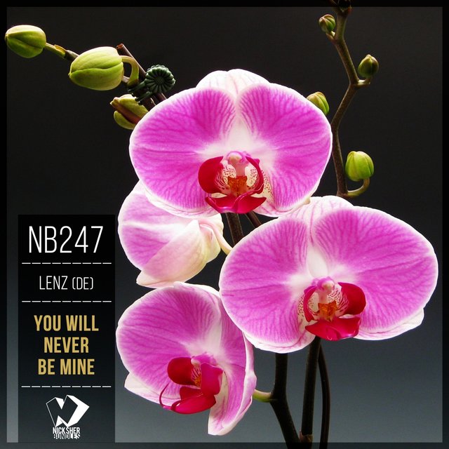 You Will Never Be Mine