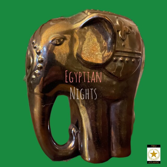 EGYPTION NIGHTS