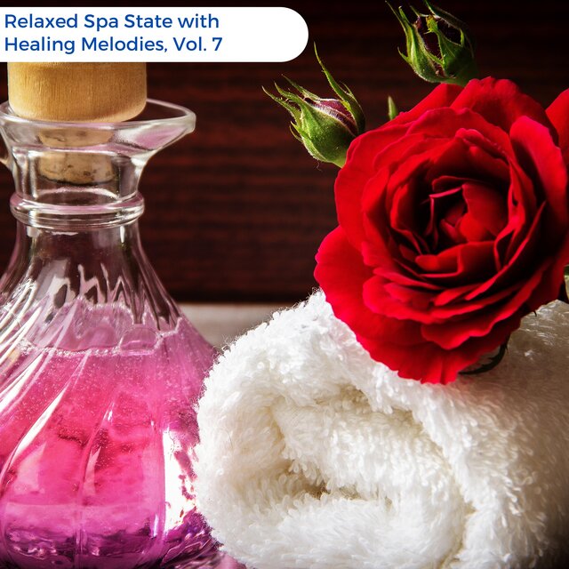 Relaxed Spa State with Healing Melodies, Vol. 7