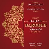 Concerto in D Minor: No. 1, Andante e spiccato