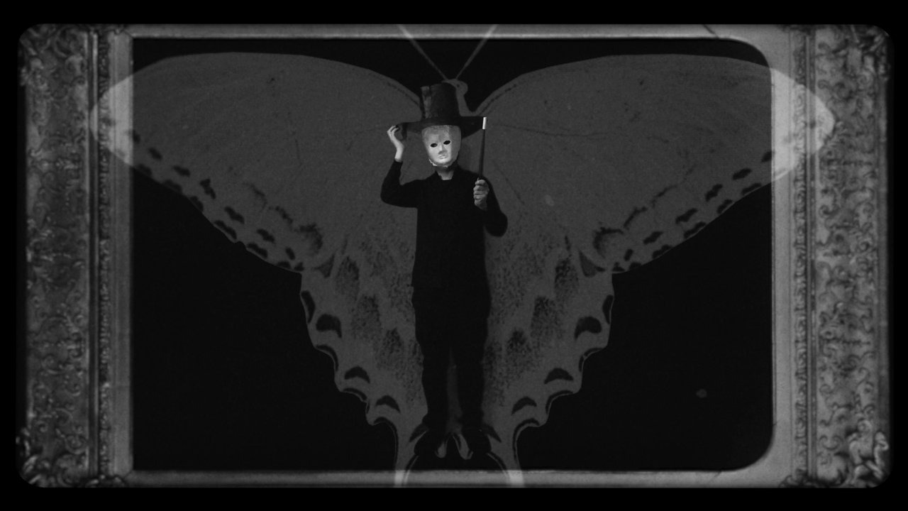 Dead Butterfly