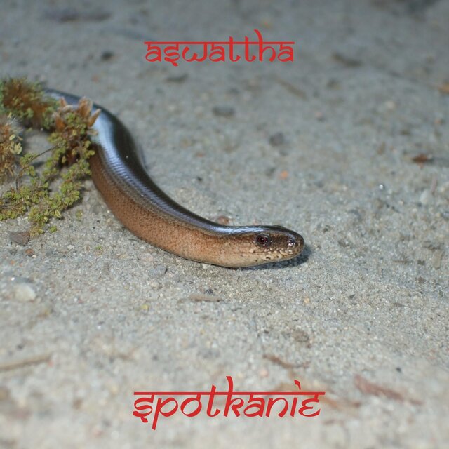 Spotkanie