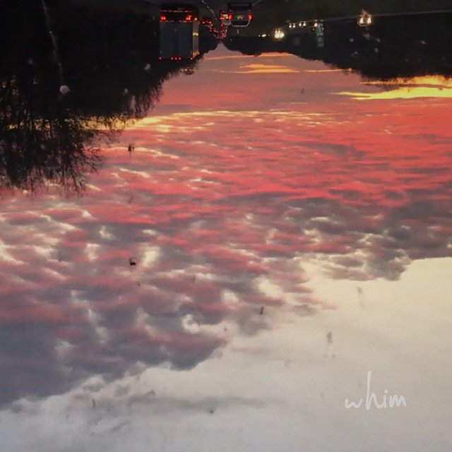 Whim by Stoop Kids on TIDAL