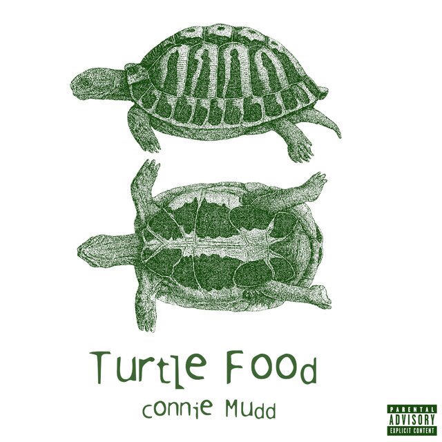 Turtle Food