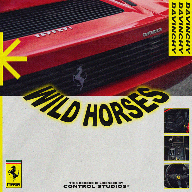 Wild Horses