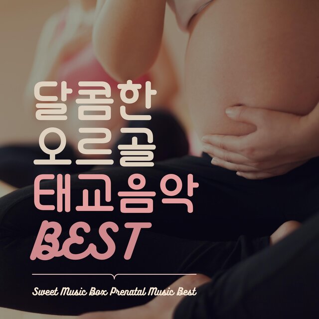 BEST Sweet Baby Music Box Prenatal Best