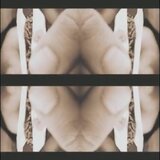 F Loops