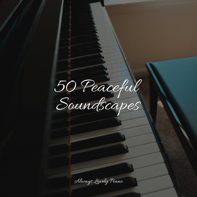 50 Sounds to Soothe Your Mind