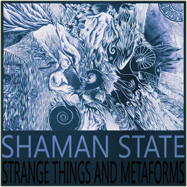 Strange Things and Metaforms