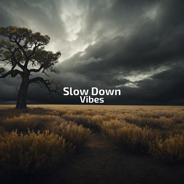 Slow Down Vibes
