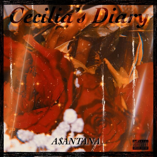 Cecilia's Diary